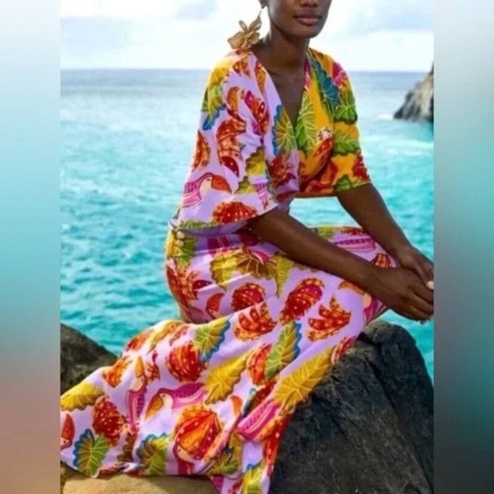 UNWORN Farm Rio Print V-Neck Maxi Wrap Dress